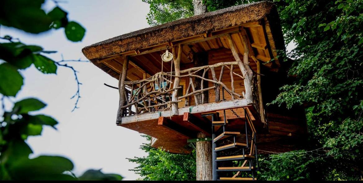 Dom Na Strome V Panorama Parku Daire Nezbudska Lucka Dış mekan fotoğraf